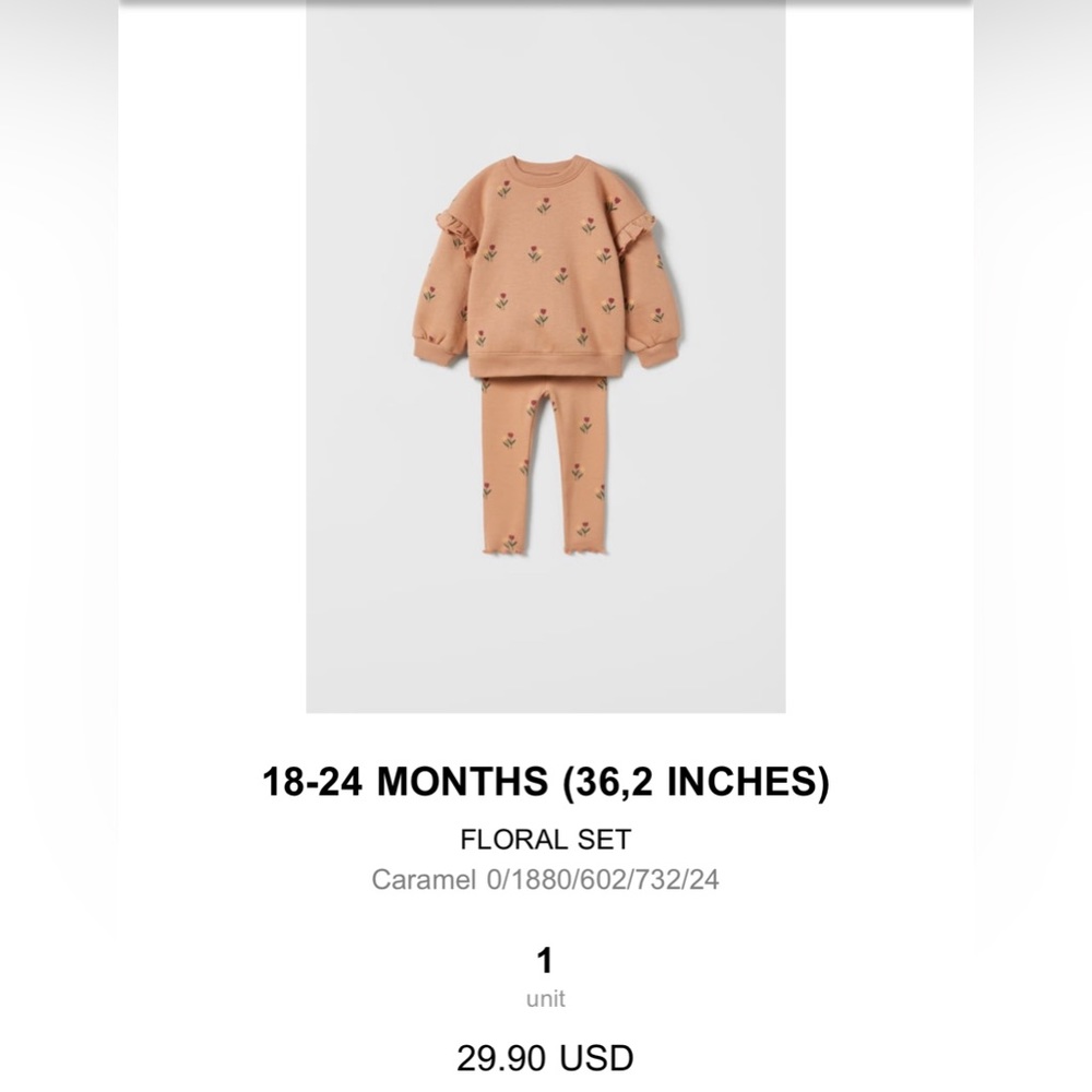 Zara - pullover and rubbed pants toddler set